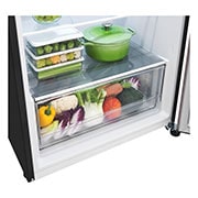 Bottom freezer view with food