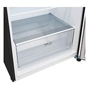 Bottom freezer view