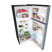Bottom freezer view