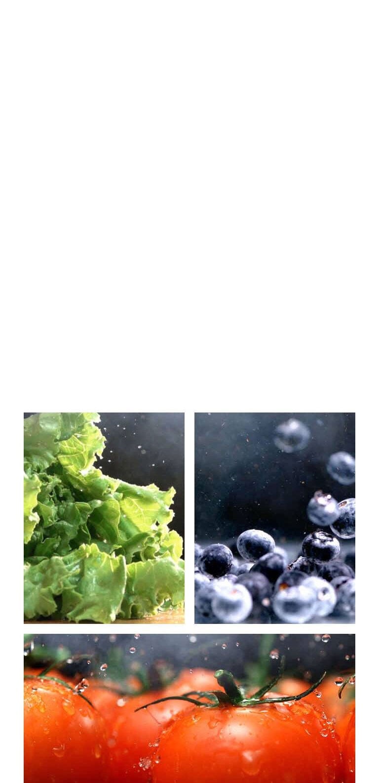 Mantén tus alimentos frescos por más tiempo