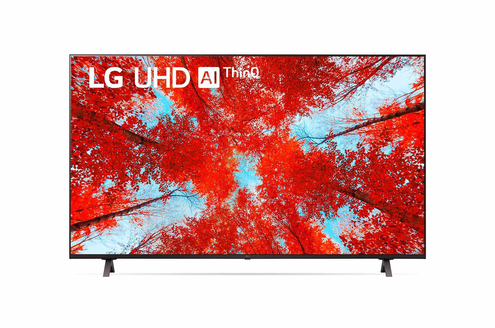 Vista frontal del televisor LG Full HD con una imagen de relleno y el logotipo del producto
