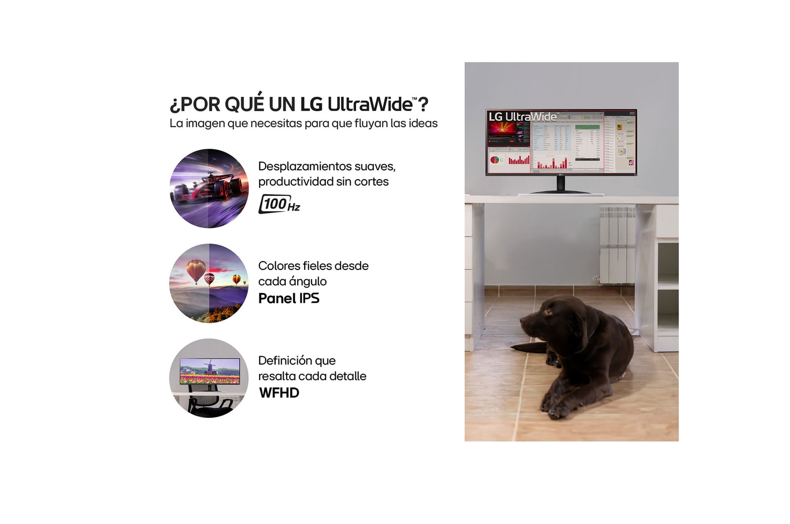 Vista lateral inclinada -15°