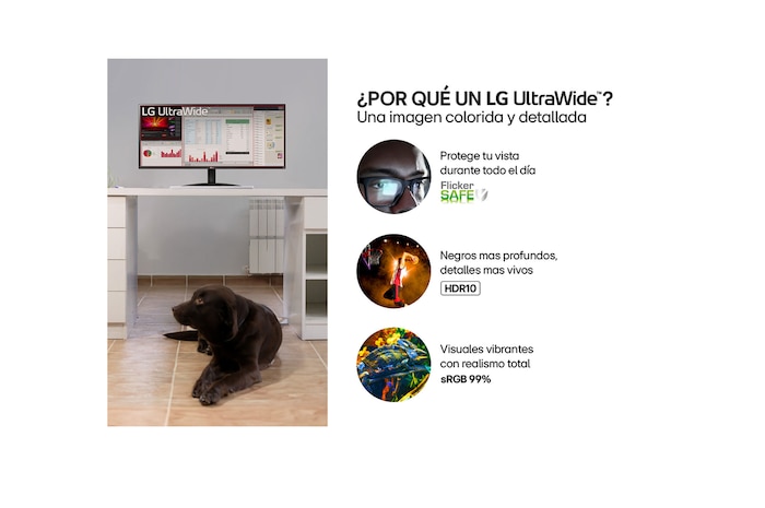 Vista lateral derecha