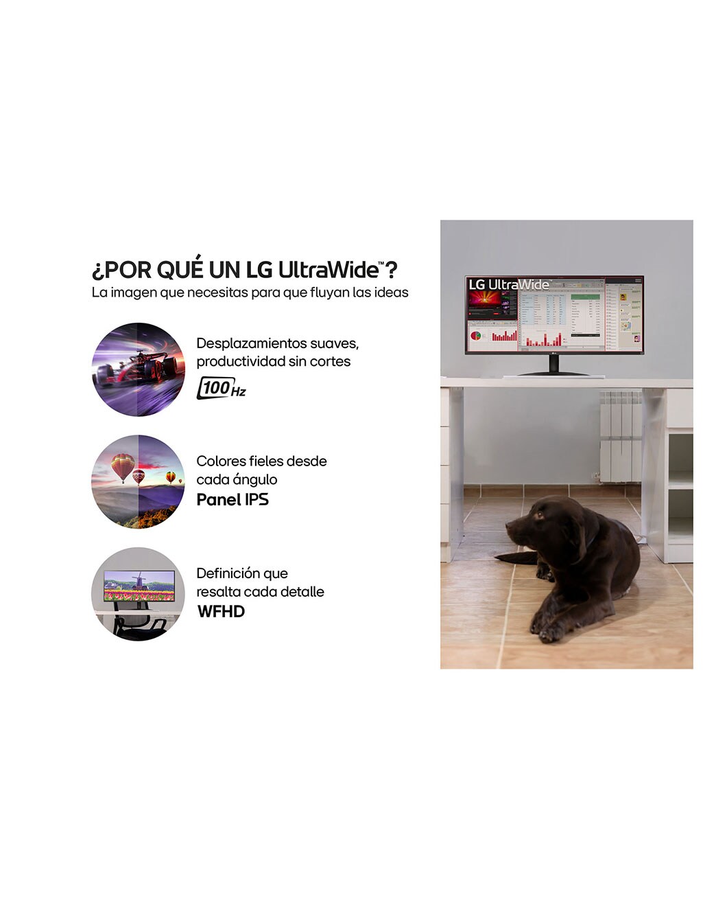 Monitor LG UltraWide 29