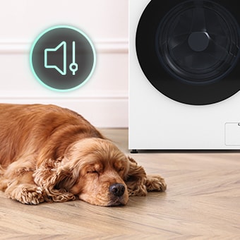 Hay un perro acostado delante de la lavadora y hay un icono de sonido.