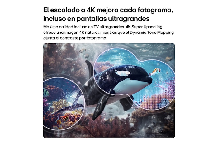 LG QNED AI QNED70 Mini LED with 4K Super Upscaling and Dynamic Tone Mapping shows an underwater scene of an orca swimming, as AI recognizes and upscales every frame to 4K resolution.