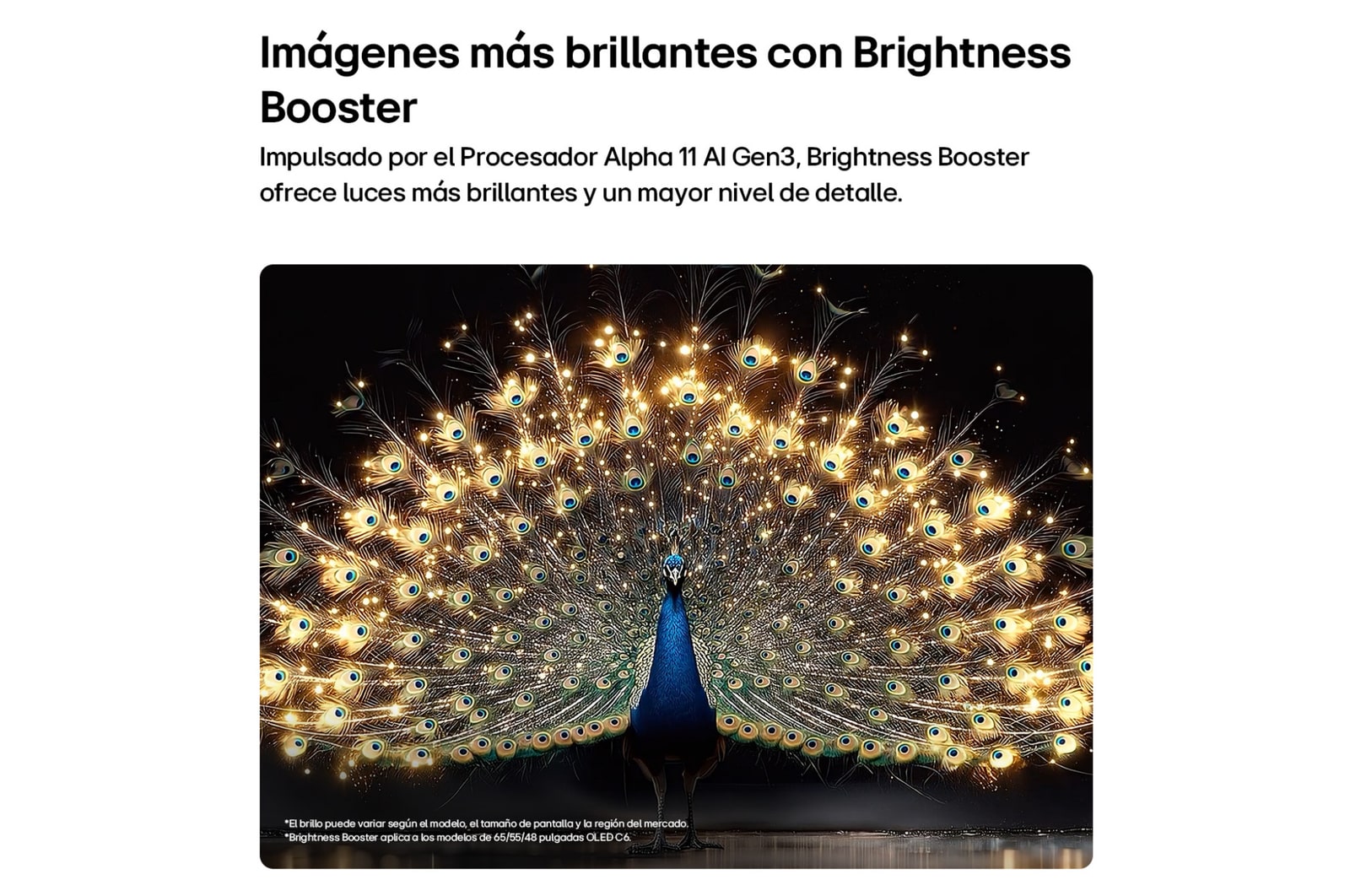 La LG OLED evo AI C6 con Brightness Booster muestra una escena oscura en la que un pavo real brillantemente iluminado extiende sus radiantes y resplandecientes plumas, ofreciendo reflejos más brillantes con mayor detalle y un contraste sorprendente.