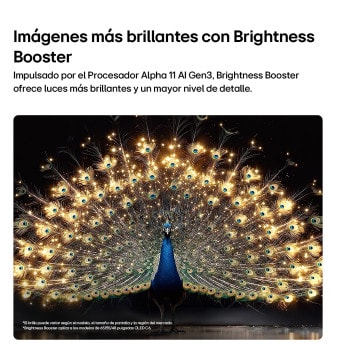 La LG OLED evo AI C6 con Brightness Booster muestra una escena oscura en la que un pavo real brillantemente iluminado extiende sus radiantes y resplandecientes plumas, ofreciendo reflejos más brillantes con mayor detalle y un contraste sorprendente.