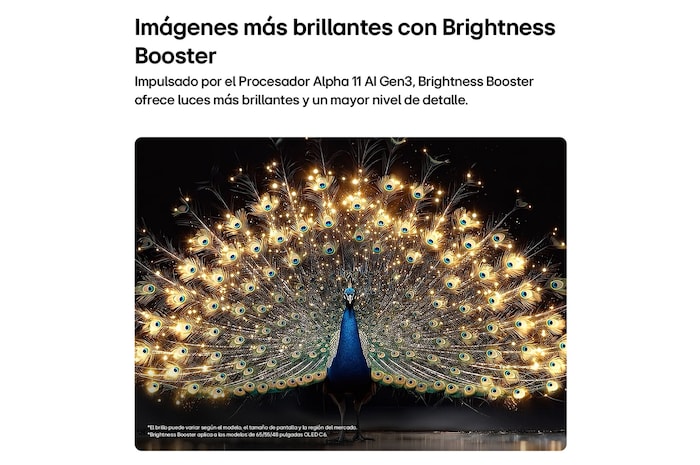 La LG OLED evo AI C6 con Brightness Booster muestra una escena oscura en la que un pavo real brillantemente iluminado extiende sus radiantes y resplandecientes plumas, ofreciendo reflejos más brillantes con mayor detalle y un contraste sorprendente.