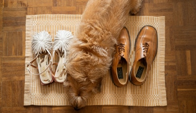 Un perro descansa en el tapete de la entrada, entre dos pares de zapatos.