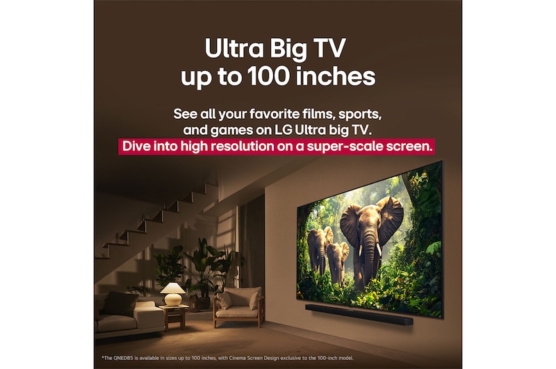 Una joven y un perro sentados frente a una LG QNED TV montada en una pared en la que se ven tres elefantes caminando hacia fuera por encima de la LG Soundbar. El título habla de cómo las escenas son más emocionantes en una pantalla gigante.