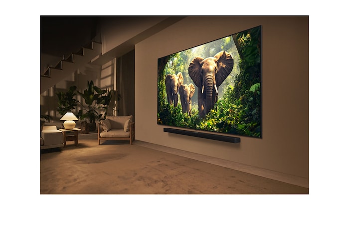 Una joven y un perro sentados frente a una LG QNED TV montada en una pared en la que se ven tres elefantes caminando hacia fuera por encima de la LG Soundbar. El título habla de cómo las escenas son más emocionantes en una pantalla gigante.