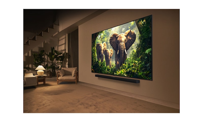 Una joven y un perro sentados frente a una LG QNED TV montada en una pared en la que se ven tres elefantes caminando hacia fuera por encima de la LG Soundbar. El título habla de cómo las escenas son más emocionantes en una pantalla gigante.