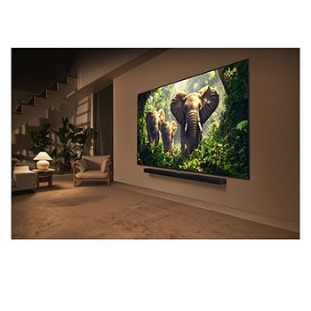 Una joven y un perro sentados frente a una LG QNED TV montada en una pared en la que se ven tres elefantes caminando hacia fuera por encima de la LG Soundbar. El título habla de cómo las escenas son más emocionantes en una pantalla gigante.