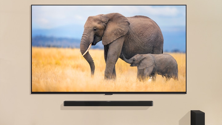 Un niño está de pie frente de una televisión grande que muestra una imagen de dos elefantes, uno adulto y otro bebé, caminando por un campo cubierto de hierba.