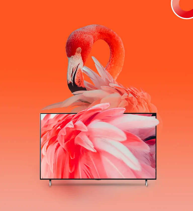 Televisores LG con Flamengo