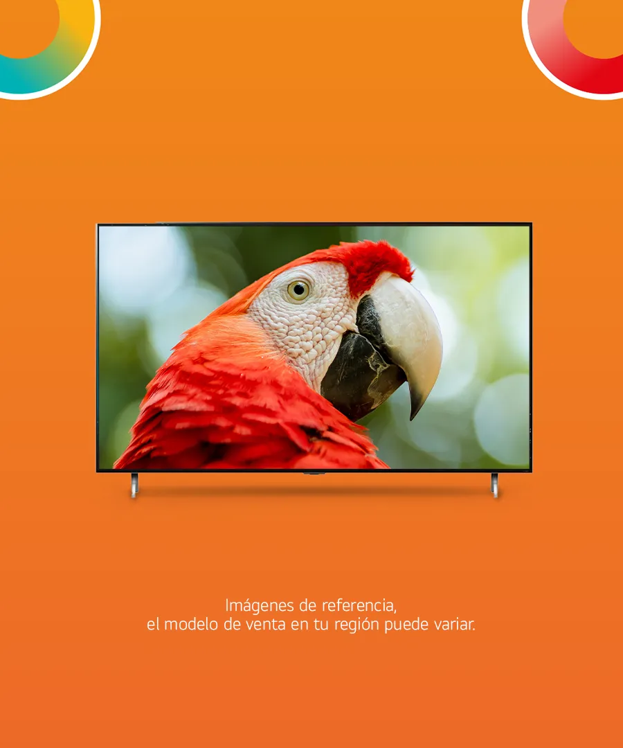 Televisor LG, mostrando un guacamayo