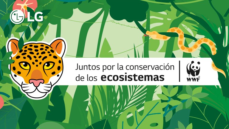 /co/images/LG-WWF-LISTADO-ARTI%CC%81CULOS.jpg