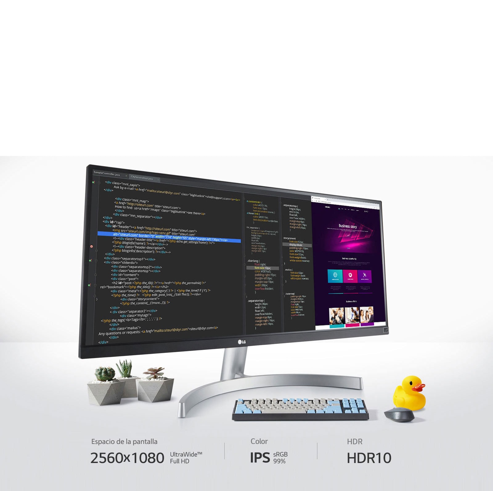 Monitor 29