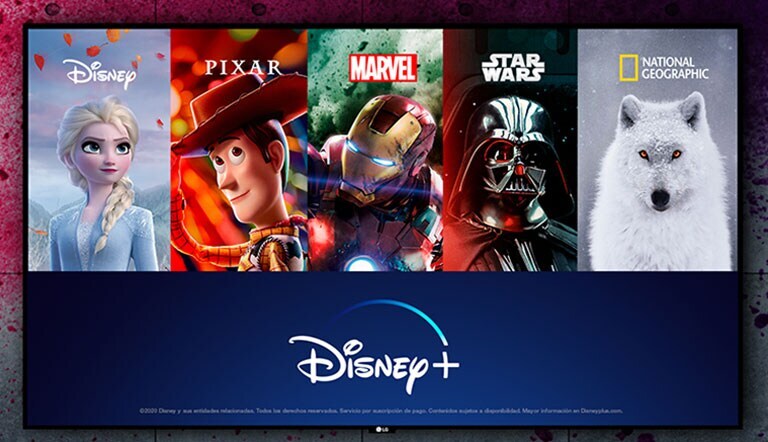 Tus favoritos en un solo lugar