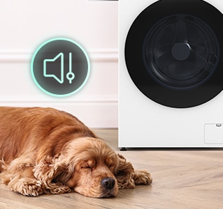 Hay un perro acostado delante de la lavadora y hay un icono de sonido.