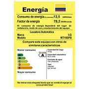LG Lavadora carga superior 19kg /41lbs -Smart Motion -Negro claro-WT19BPB, WT19BPB
