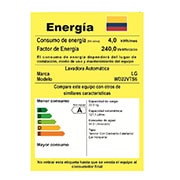 LG Lavadora/Secadora Carga Frontal, 22/13kg, 6MotionDD, TurboWash™, color Tipo Acero Inox, WD22VTS6
