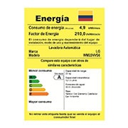 LG Lavadora Carga Frontal, 49lbs/22kg, 6Motion™ DD, TurboWash™, color Tipo Acero Inoxidable, WM22VVS6