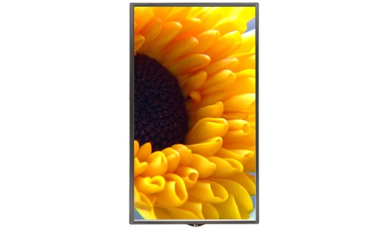 Vista frontal de 49" pulgadas (48.5" diagonal) cartelera digital Edge-Lit LED panel IPS  49SE3B