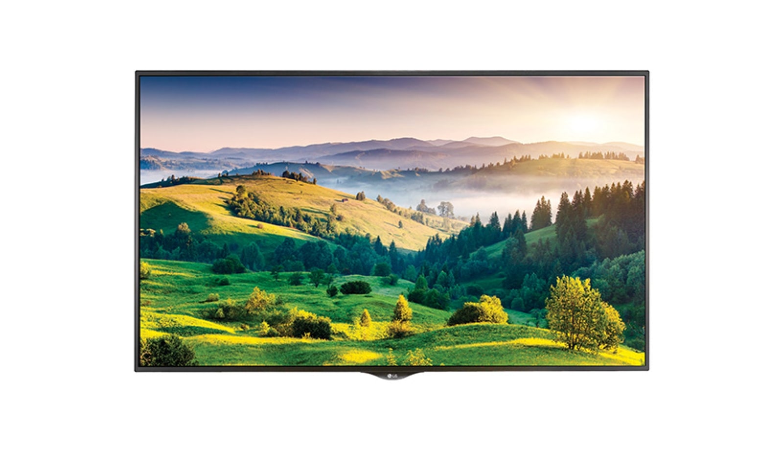 LG MONITOR, 65" Ultra HD Display, 65UH5B