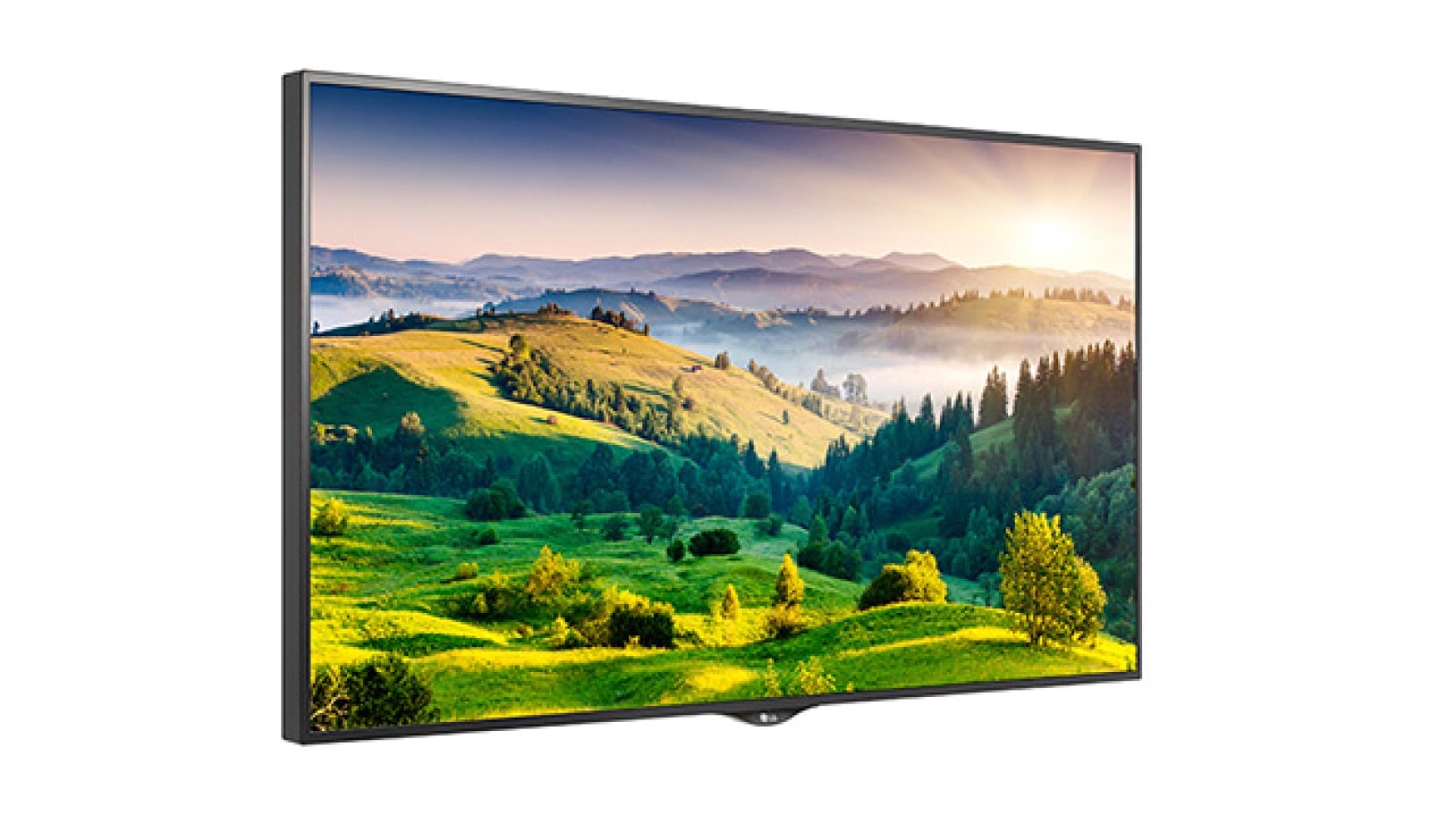 LG MONITOR, 65" Ultra HD Display, 65UH5B