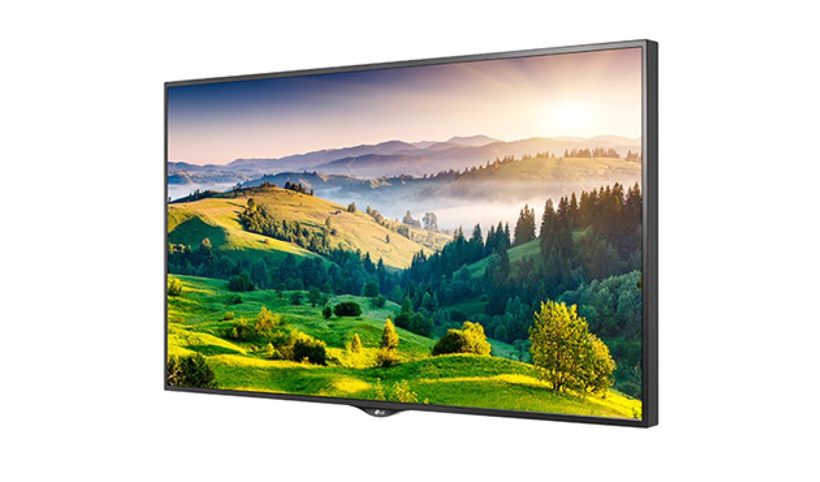 LG MONITOR, 65" Ultra HD Display, 65UH5B