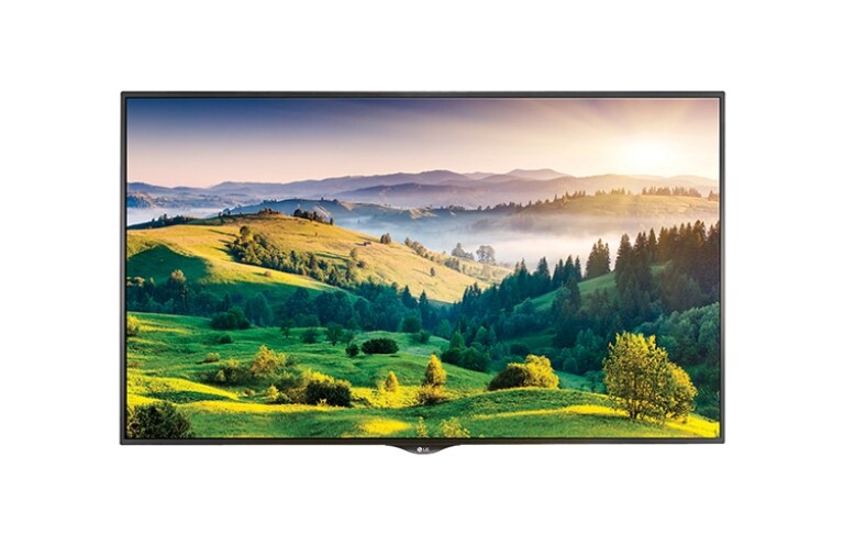 LG MONITOR, 65" Ultra HD Display, 65UH5B