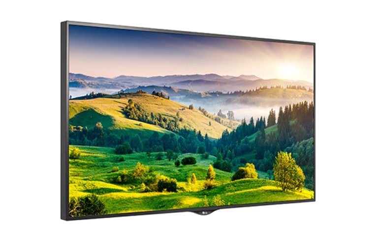 LG MONITOR, 65" Ultra HD Display, 65UH5B