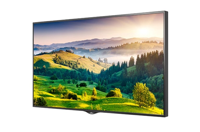 LG MONITOR, 65" Ultra HD Display, 65UH5B