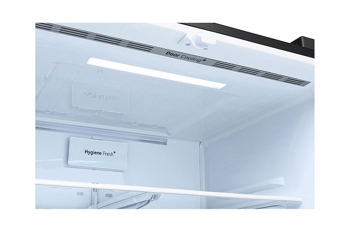 Vista congelador interior Nevecón