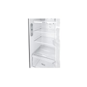 LG Nevera LG Top Mount, Tecnología Door Cooling™, capacidad 272 LTS, Inverter Linear Compresor, GT29WPPDC