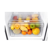 LG Nevera Top Mount, Tecnología Multi Air Flow, capacidad 254 lts, acabado Platinum Silver 3, GT29WPPKT