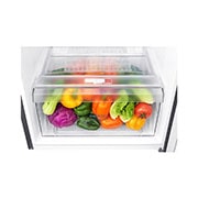 LG Nevera Top Mount, Tecnología Moist Balance Crisper, capacidad 312 lts, acabado Platinum Silver 3, GT32WPPKT