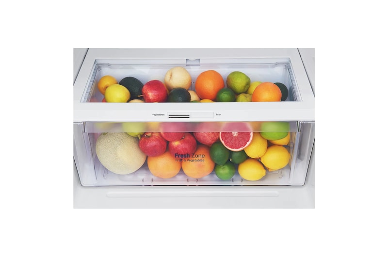 LG Nevera Top Freezer 410L con DoorCooling, HygieneFresh<sup>+</sup> y conectividad Wi-Fi, plateada, GT41SGPX