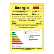 LG Nevera LG Bottom Freezer, 454lts, Tecnología NatureFRESH, Acabado Matte Black Steel, LB41WPT