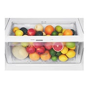 LG Nevera Top Freezer, Fabricador de hielo, Tecnología Door Cooling™ de 437 LTS, No frost, Acabado Black Steel, Filtro Hygiene Fresh+®, Inverter Lineal Compressor, LT41AGDX