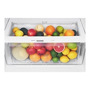 LG Nevera Top Freezer, fabricador de hielo, Tecnología Door Cooling™, capacidad 471 LTS, acabado Platinum Silver, Filtro Hygiene Fresh+®, Inverter Lineal Compressor, LT44AGP