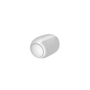LG XBOOMGo PL2W, PL2W