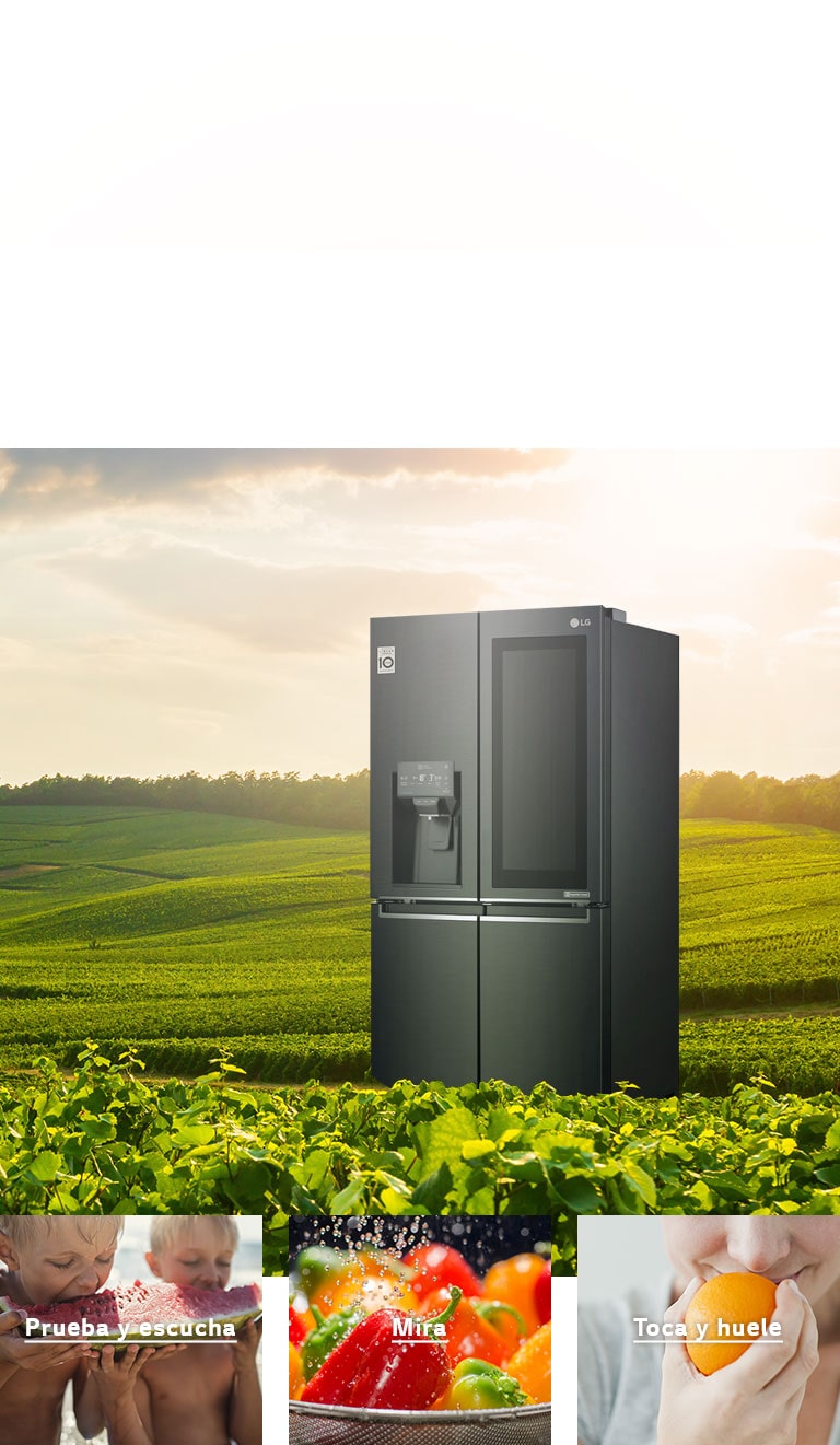 Tecnología NatureFresh™ en Nevecón Europeo LG InstaView Sistema de enfriamiento avanzado para frescura prolongada