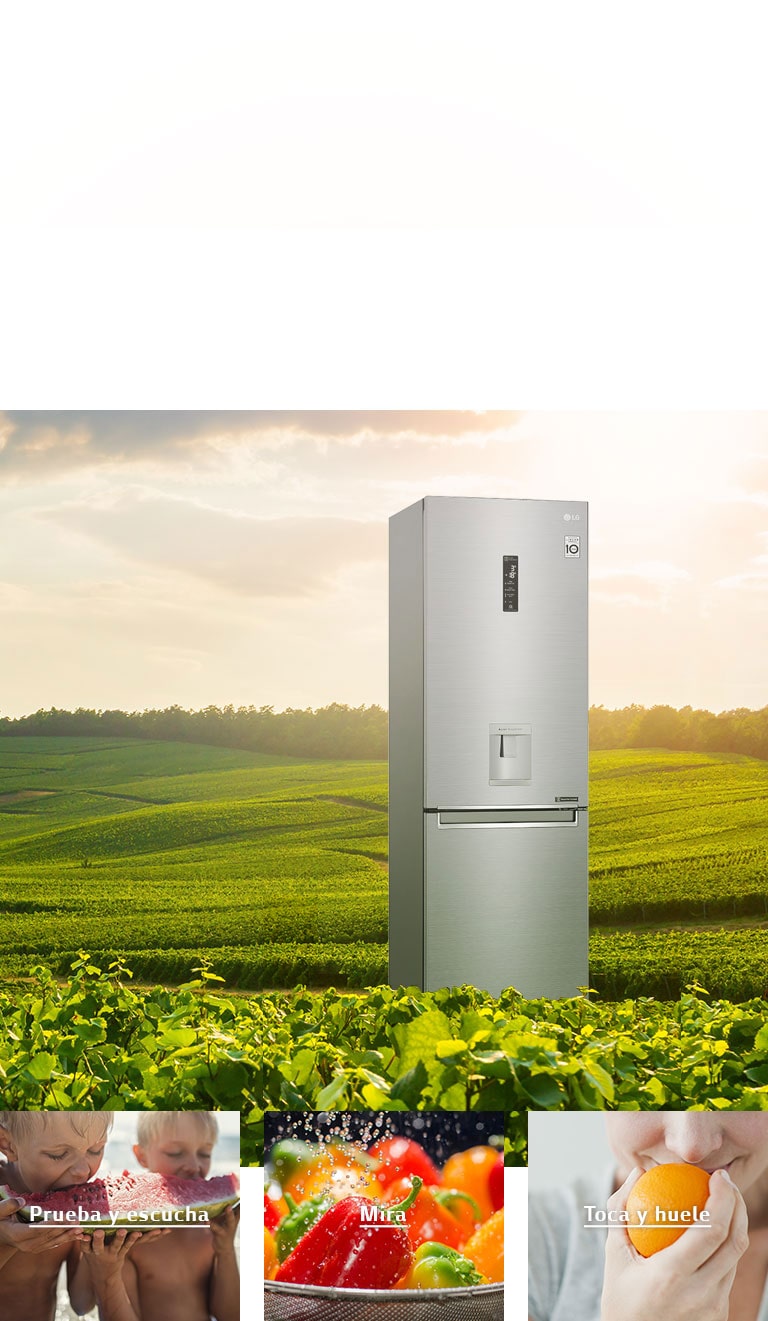 Nevera LG con tecnología NatureFRESH™ para frescura.
