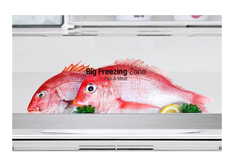 Zona de congelación amplia en la nevera LG negra, ideal para almacenar gran cantidad de alimentos de manera práctica y organizada