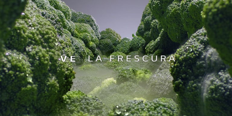 Mantén tus alimentos frescos por más tiempo con tecnología que conserva sabor, textura y calidad cada día