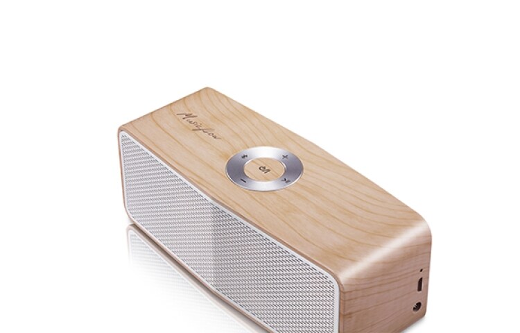 LG Parlante portátil Bluetooth LG Music Flow P5 con batería de larga duración, hasta 15 horas., NP5550NC