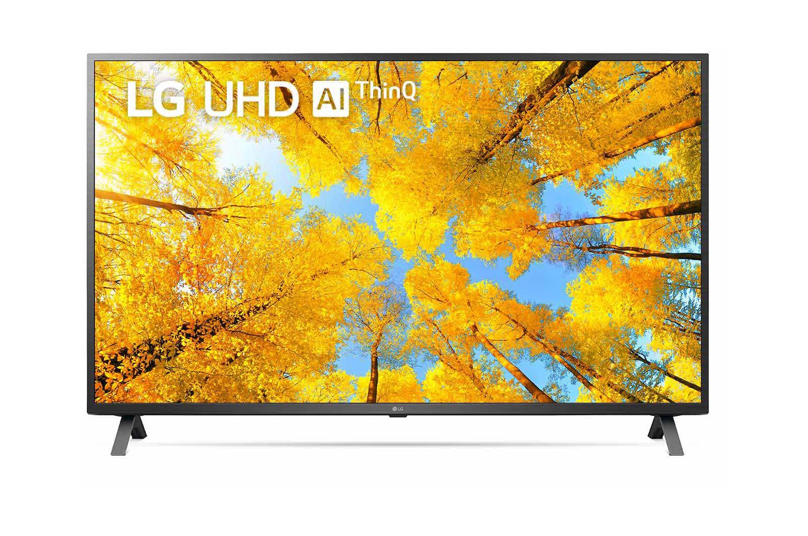 Vista frontal del televisor LG Full HD con una imagen de relleno y el logotipo del producto